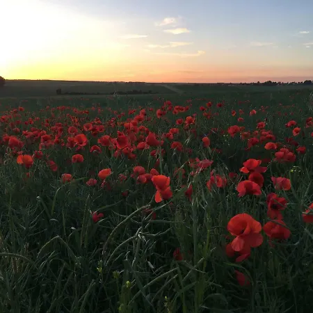 Dupres House, Chavasse Farm, Somme Battlefields
